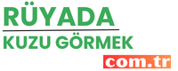 ruyadakuzugormek.com.tr